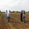 --2008--------interreg-iiia---2000-2006--lecce-may-2008-visit-to-a-farm-with-energy-crops-program-interreg-iiia-greece-italy-2000-2006_14173699831_o