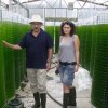 300lt------2009--cultivation-of-oleagenous-microalgae-in-bioreactors-300lt-plagton-sa-mytikas-aitoloakarnania-june-2009_14173699021_o