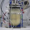 bioengineering-ralf--laboratory-scale-bioreactor-bioengineering-ralf_14207992051_o